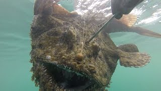 THE DIVE OF A LIFETIME Massive MONKFISH Catch and Cook [upl. by Sharona]