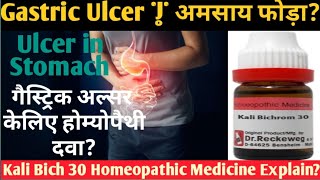 पेट में एलर्जी की समस्या का घरेलू उपचार alser problem in homeo remedies explain in hindi [upl. by Ahseeyt868]