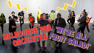 Melbourne Ska Orchestra  Were All Fruit Salad The Wiggles [upl. by Eilah]