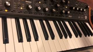 Moog Subsequent 37  Peaceful Arp [upl. by Vere]