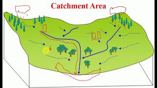 What is a Catchment Area and how does it work [upl. by Shelby]