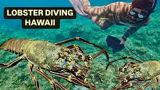 Diving for MASSIVE LOBSTERS in Hawaii  Camping Catch and Cook [upl. by Illona]