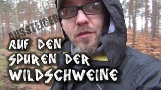 Auf den Spuren der Wildschweine  der AUSSTEIGER [upl. by Atnoid]