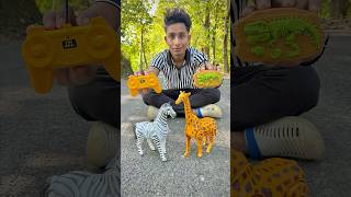 Rc Horse and Remote Control Giraffe Unboxing🔥🦒 [upl. by Kirschner]