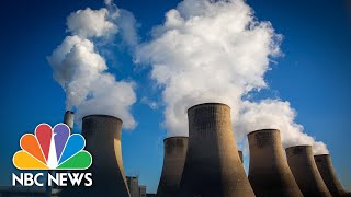 How COVID19 Could Help Save The Planet  NBC News [upl. by Urias]