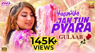 Jan Tun Pyara  جان توں پیارا  New Song 2023  Gulaab  Official Music Video Tp Gold [upl. by Ahcim]