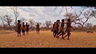 JuHoansiSan dancing and singing in Namibia 🇳🇦 [upl. by Bartko859]