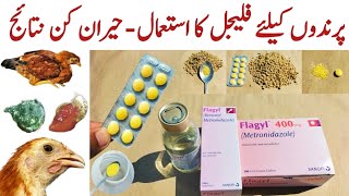 Metronidazole for Chickens and other Poultry Birds  Flagyl for Chickens  Dr ARSHAD [upl. by Eserahs]