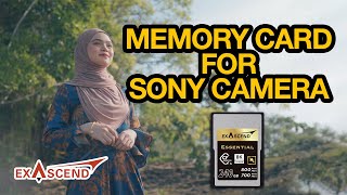 Memory Card berpatutan untuk kamera SONY Exascend CF Express Type A [upl. by Nylcaj]