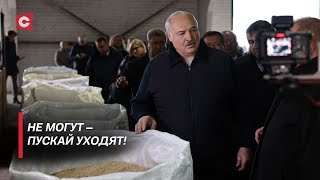 Лукашенко Разбирайтесь с кадрами Пора их на место ставить Президент жёстко об аграрном секторе [upl. by Jb]