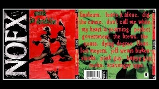 NOFX  Punk in Drublic  FULL ALBUM [upl. by Nasya223]