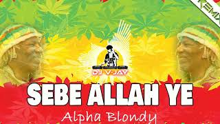 Sebe Allah Ye REGGAE REMIX Alpha Blondy  DJ VJAY Remix 🔥 [upl. by Yelnek135]