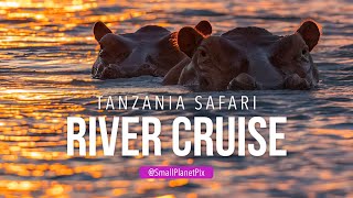 Rufiji River Cruise at Sunset in Tanzania 🇹🇿 [upl. by Leumas]