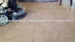 Trinity carpet machine cleaning video [upl. by Lenci825]