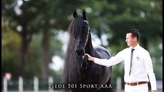 Tiede 501 Sport AAA [upl. by Umeko]