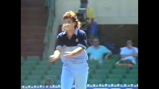 RARE 18yearold Damien Fleming dismissing the Waugh brothers VIC vs NSW FAI Cup semi final 198889 [upl. by Adoh]