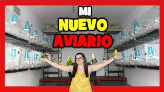 AVIARIO de CANARIOS y AVES EXOTICAS 2018 🐤 CRIADERO DE CANARIOS 🐣 AVIARIO DE CANARIOS [upl. by Itch708]