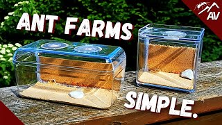 How to make an Ant Farm  DIY Sand Formicarium [upl. by Witty255]