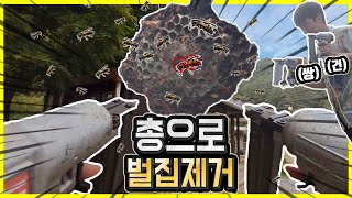 총으로 벌집제거 쌍건 Remove honeycomb with gun [upl. by Ayaet]