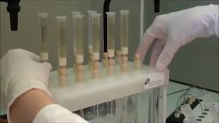 Solid Phase Extraction process  AFFINISEP [upl. by Hanser325]