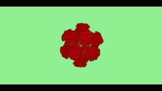 8 second Capsid Animation of Human Papilloma Virus 16 HPV 16 in HD [upl. by Anirahc]