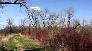 Hiking the Dunes Trail at the Illinois Beach State Park in Zion [upl. by Neladgam]