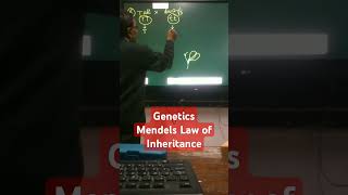 Mendels Law of Inheritance [upl. by Marcin]