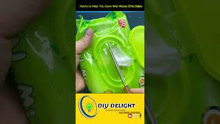 Hacks to Help You Save Wet Wipes Effectively l DIY Delight [upl. by Etteve]