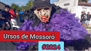 ursos de Mossoró 2024 1 [upl. by Lockhart]