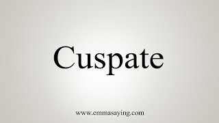 How To Say Cuspate [upl. by Ahsena]