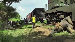 train  elephant accident [upl. by Eseeryt]