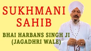 Bhai Harbans Singh Ji  Sukhmani Sahib [upl. by Jarus]