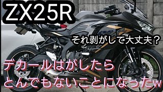 バイクのデカールを剥がしたらとんでもないことになったwwあなたのバイクのステッカーやデカールは大丈夫？ [upl. by Renell]