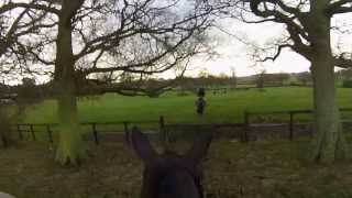 Alice Pearson joins The Ledbury Hunt at the Tweenhills meet on the 20th December 2013 [upl. by Arodnahs926]