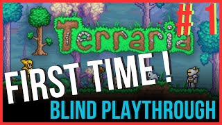 🔥 FIRST Time Playing Terraria  Blind Playthrough EP1 [upl. by Mazur]