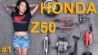 Honda Mini Bike  Z50 Mini Trail Build  Part 1 [upl. by Enilesor]