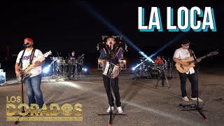 Los Dorados  La Loca En Vivo [upl. by Kele]