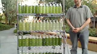 An Algae Bioreactor from Recycled Water Bottles [upl. by Balduin]