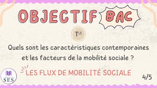 BAC Cours Mobilité Sociale  Analyse des flux de mobilité sociale [upl. by Lunnete]