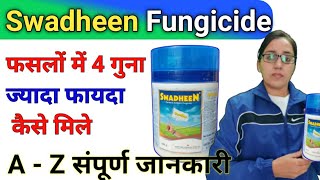 How to use swadheen fungicide  tebuconazole 10 sulphur 65 wg  contactampsystemic fungicide [upl. by Atirak940]