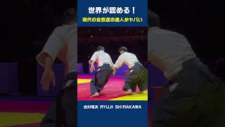 Amazing Aikido master [upl. by Nosneh]