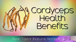 Cordyceps Benefits for Health [upl. by Keli]