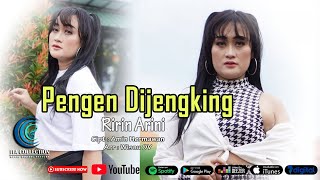 Ririn Arini  Pengen Dijengking Official Video Musik [upl. by Sackville825]