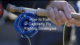 How to Fish Caddisfly Fly Fishing Strategies  GoFishBC [upl. by Terzas]