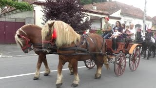 Parada cailor dinainte de Festivalul Ecvestru de la Rasnov  2014 [upl. by Onaivlis458]