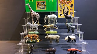 2004 Colorata Japan Exclusive Ueno Zoo Box Figure Set Review [upl. by Enilav]