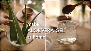 2 ways to make pure organic aloe vera gel at home and preserve for months [upl. by Schonfield235]