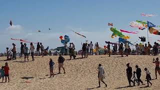 Corralejo fuerteventura riu oliva beach hotel kite festival 11th November 2023 [upl. by Waylin938]