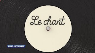 Le chant les types de voix [upl. by Denie]