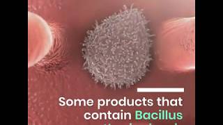 BACILLUS THURINGIENSIS [upl. by Sito870]